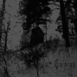 En atmosfär av storhetsvansinne